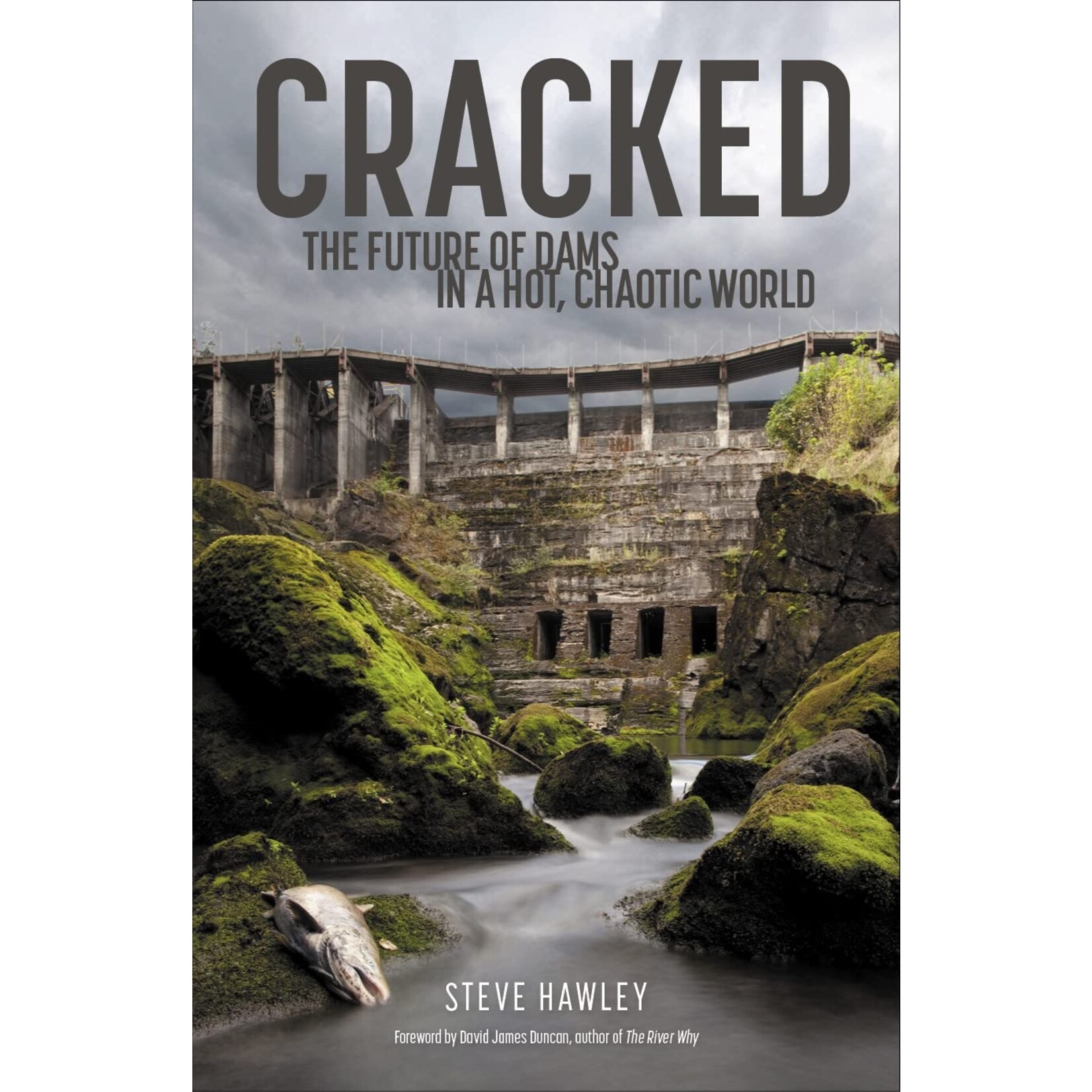 Cracked: The Future of Dams in a Hot, Chaotic World