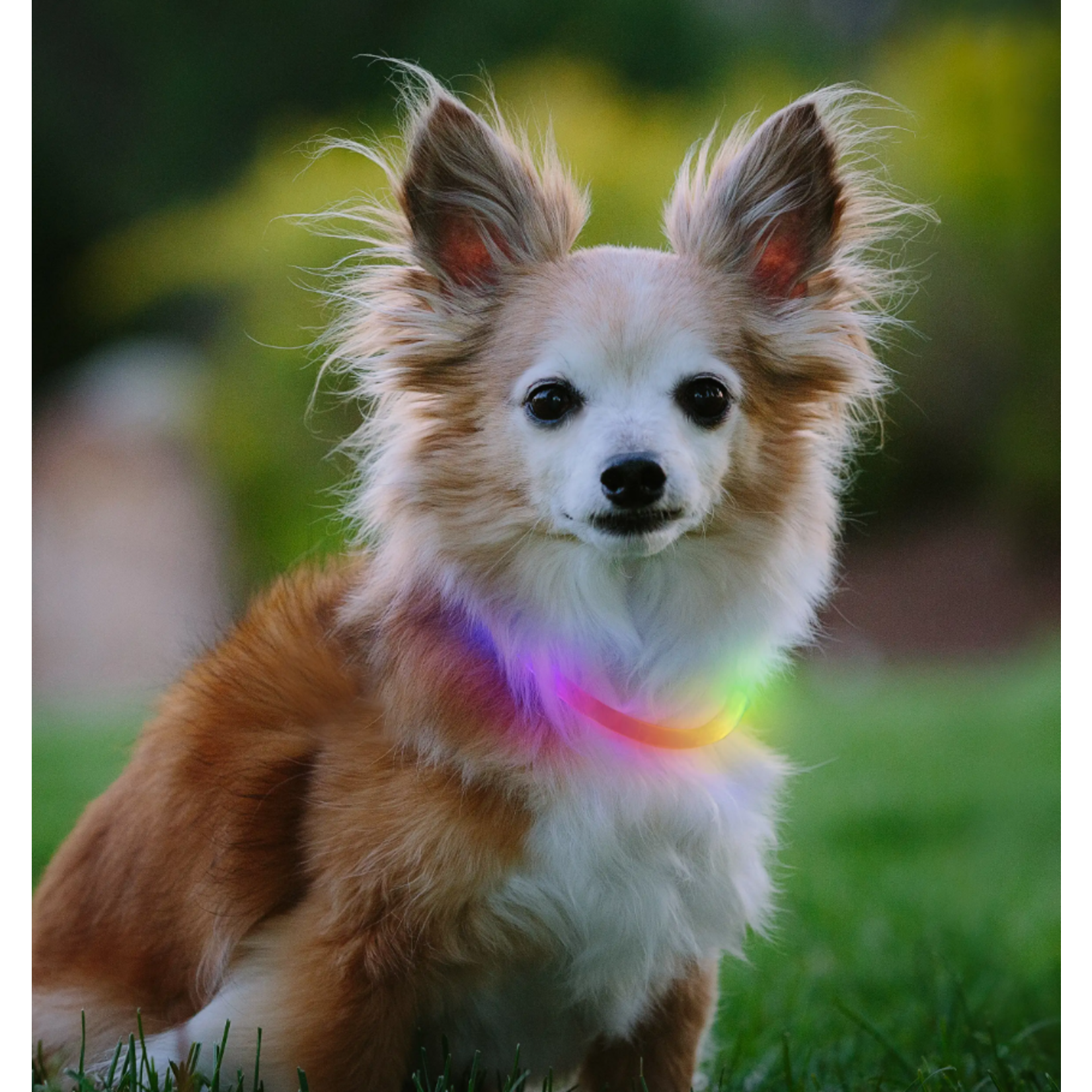 Nite Ize NiteHowl Mini