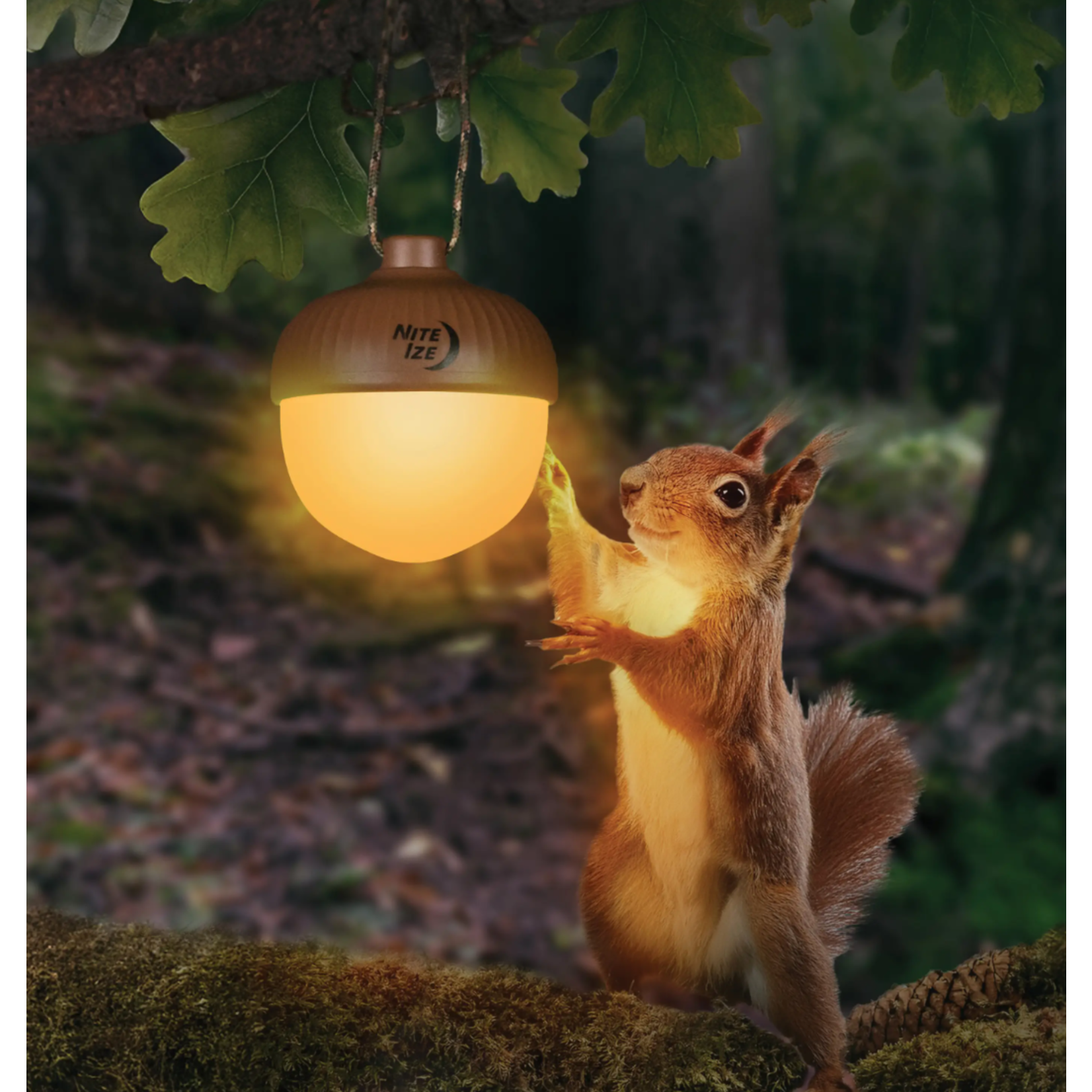 Nite Ize Radiant NutLit Rechargeable Lantern