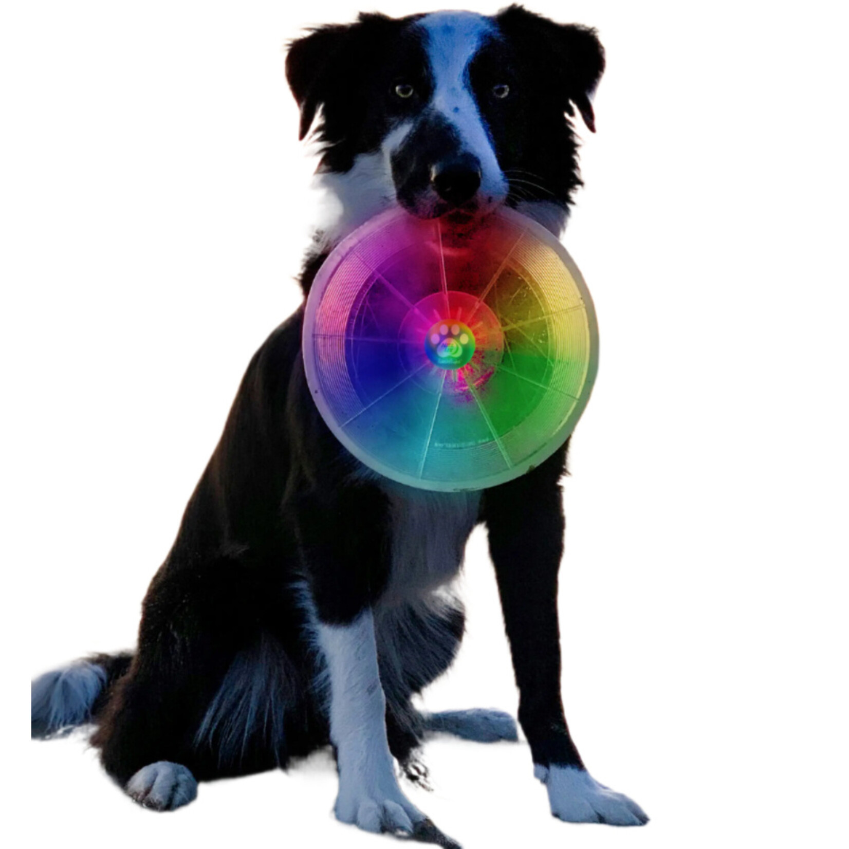 Nite Ize Flashflight Dog Discuit LED Flying Disc - Disc-O
