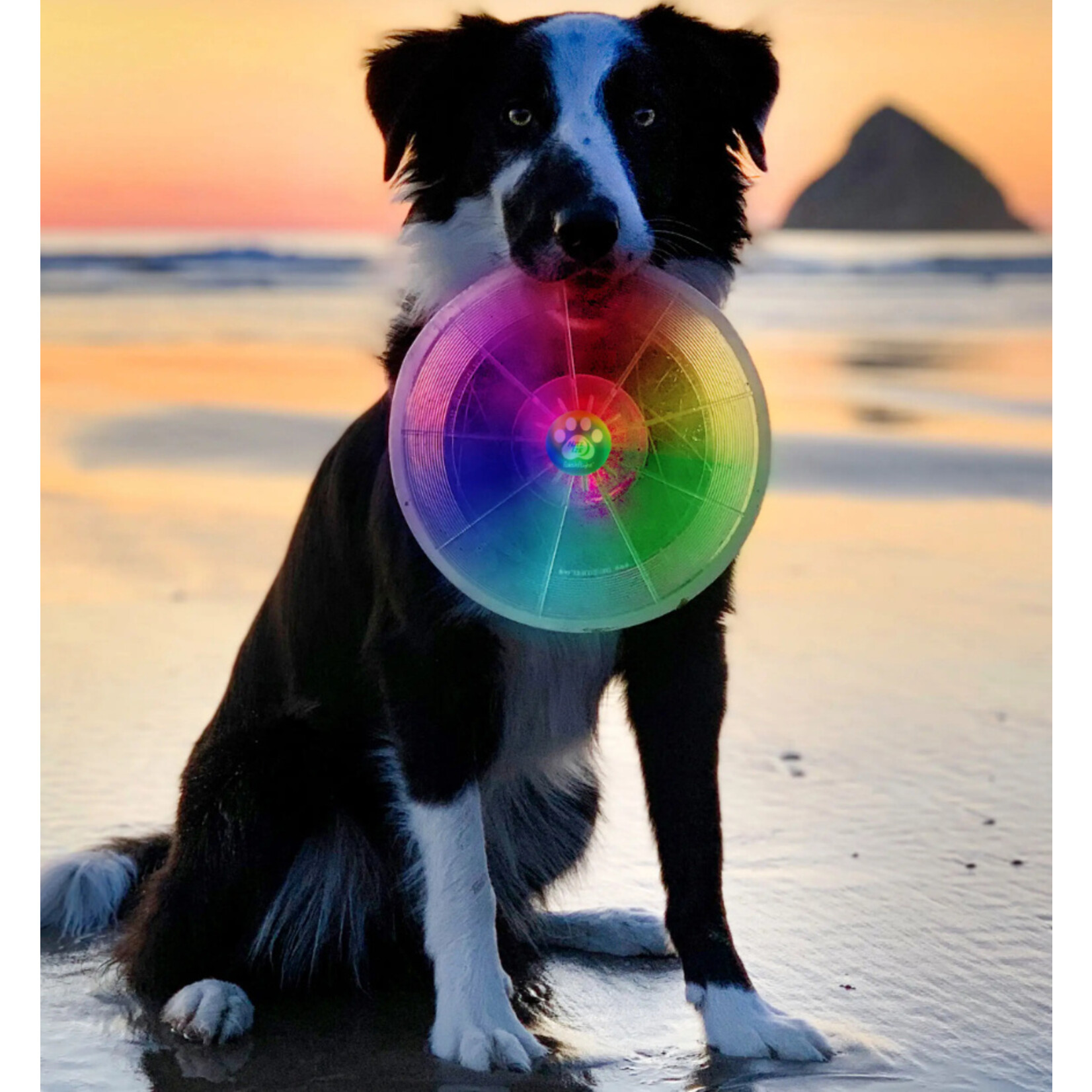 Nite Ize Flashflight Dog Discuit LED Flying Disc - Disc-O