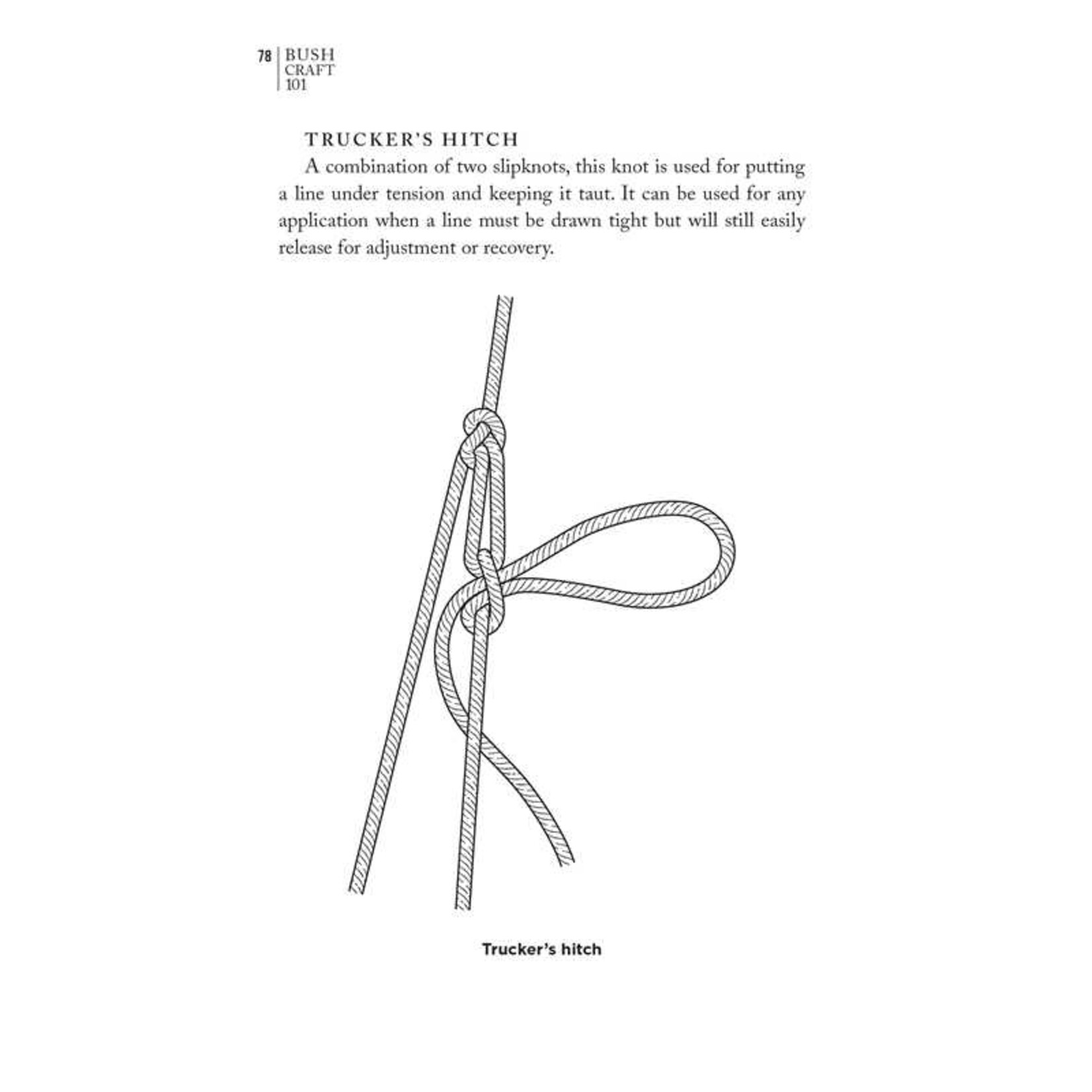 Bush Craft 101: A Field Guide to the Art of Wilderness Survival