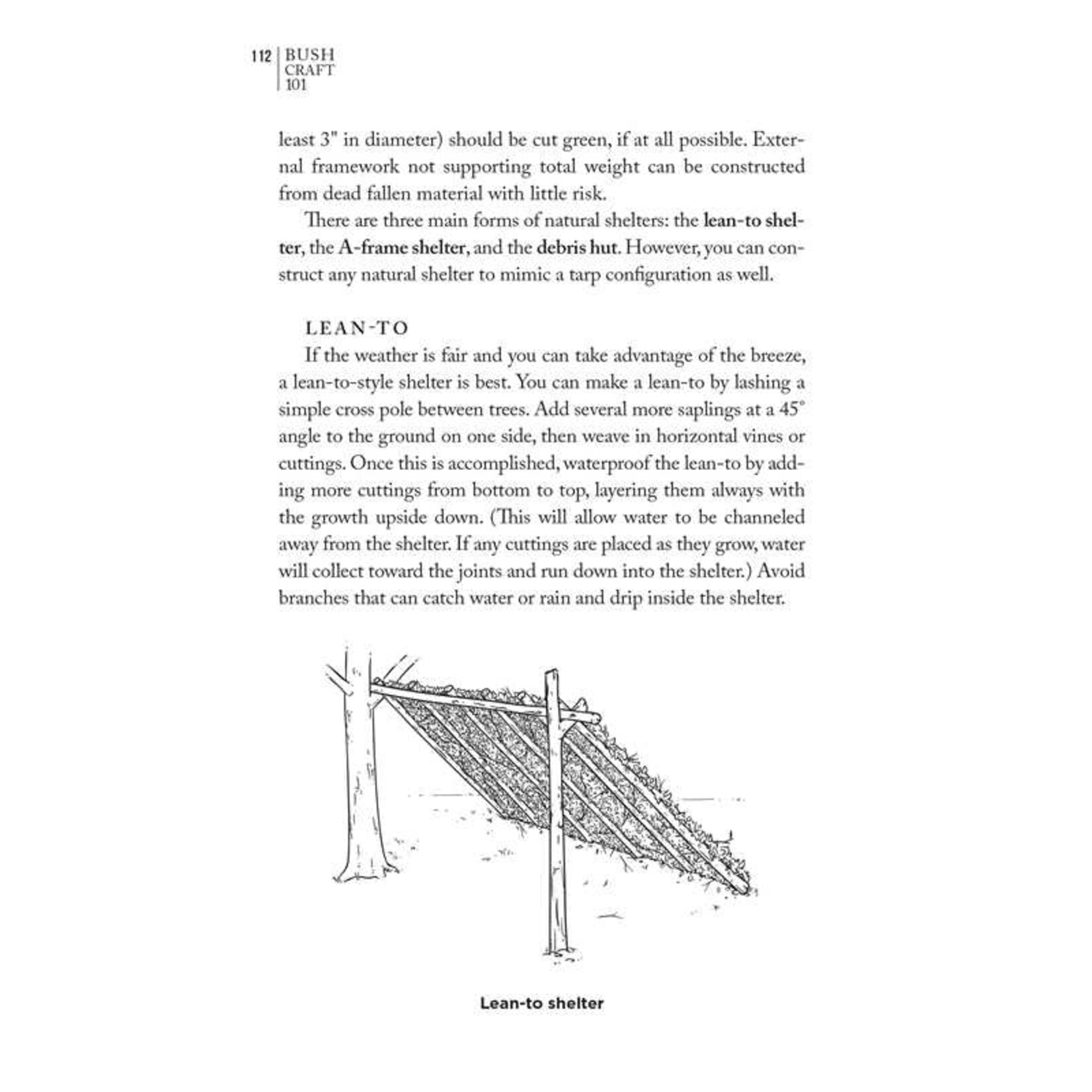 Bush Craft 101: A Field Guide to the Art of Wilderness Survival