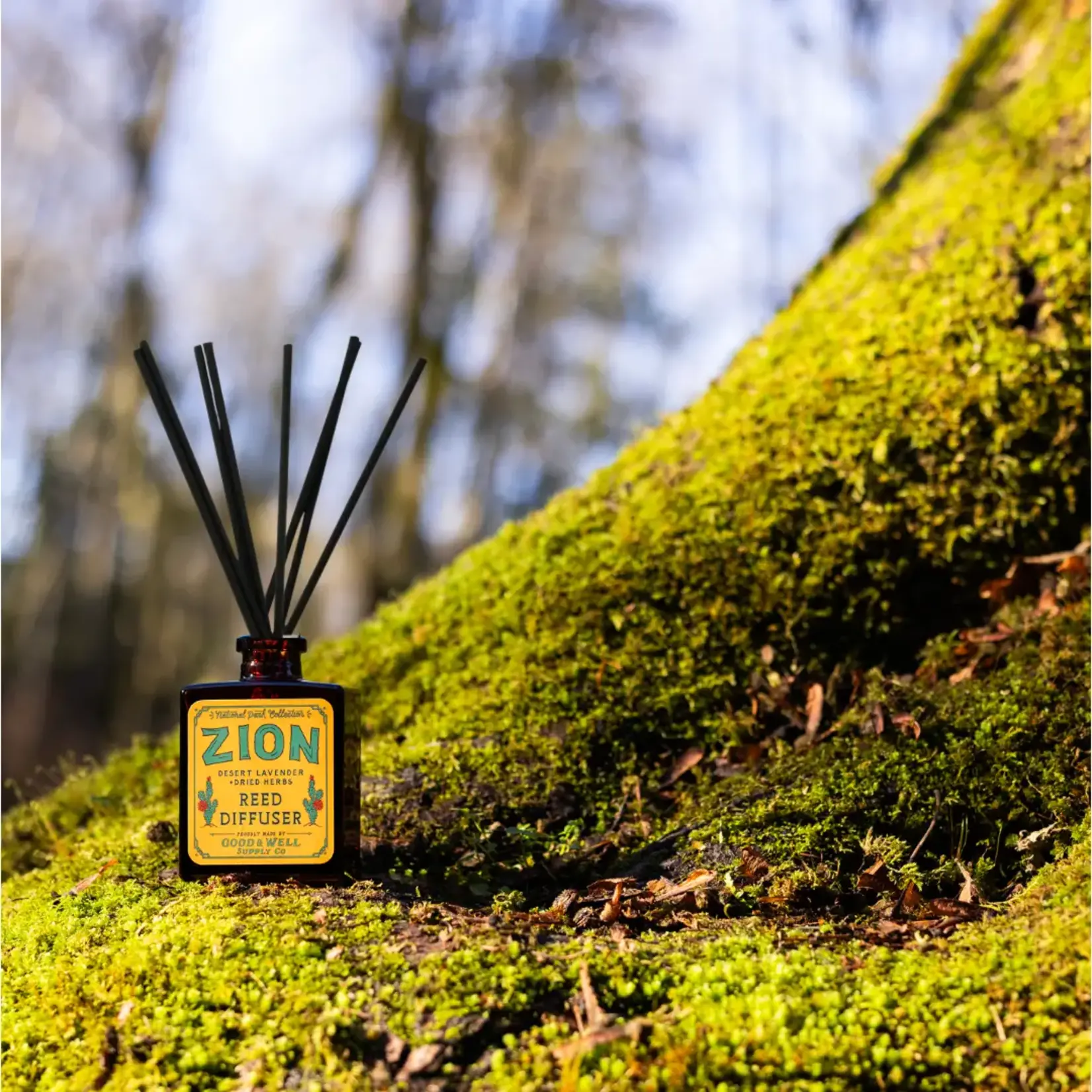 Good & Well Supply Co. Reed Diffuser