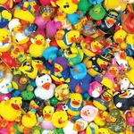 Funny Duckies Puzzle
