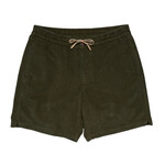 Howler Brothers Pressure Drop Cord Shorts