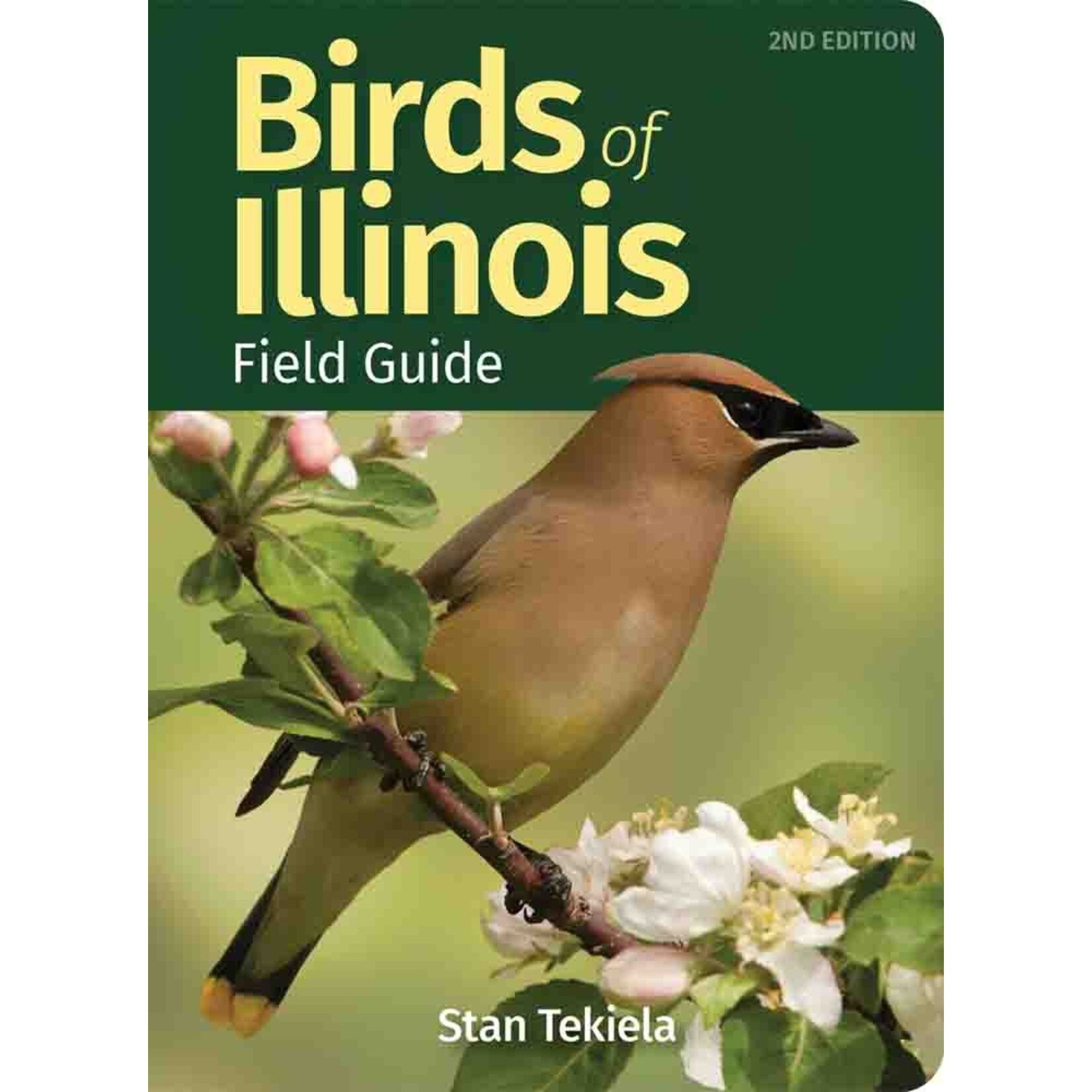 Birds of Illinois Field Guide