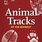 AdventureKEEN Animal Tracks Playing Cards