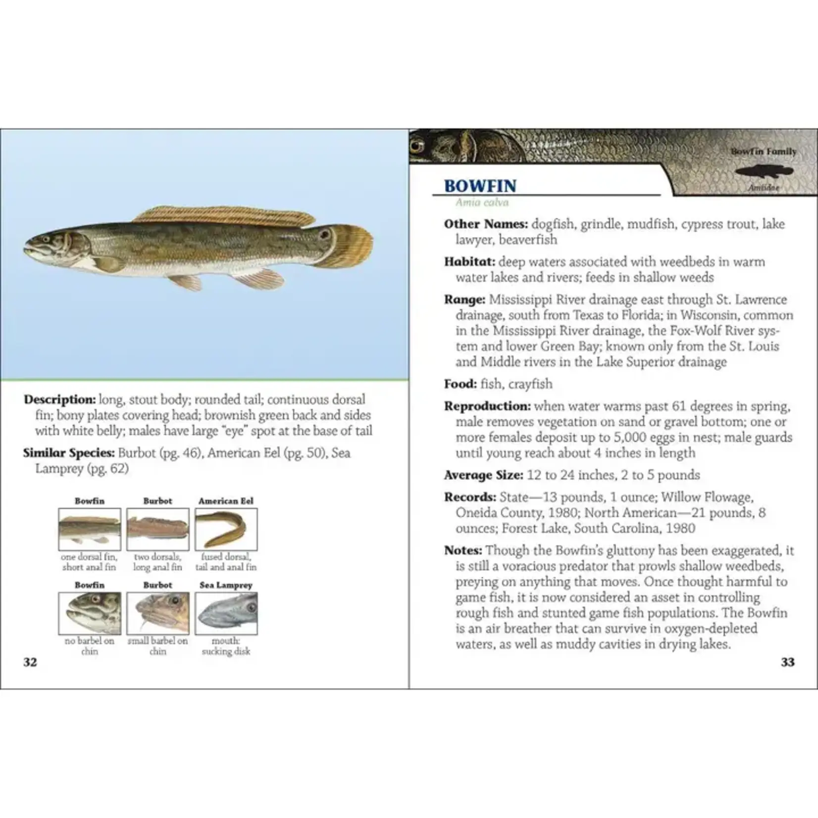 AdventureKEEN Fish of Wisconsin Field Guide