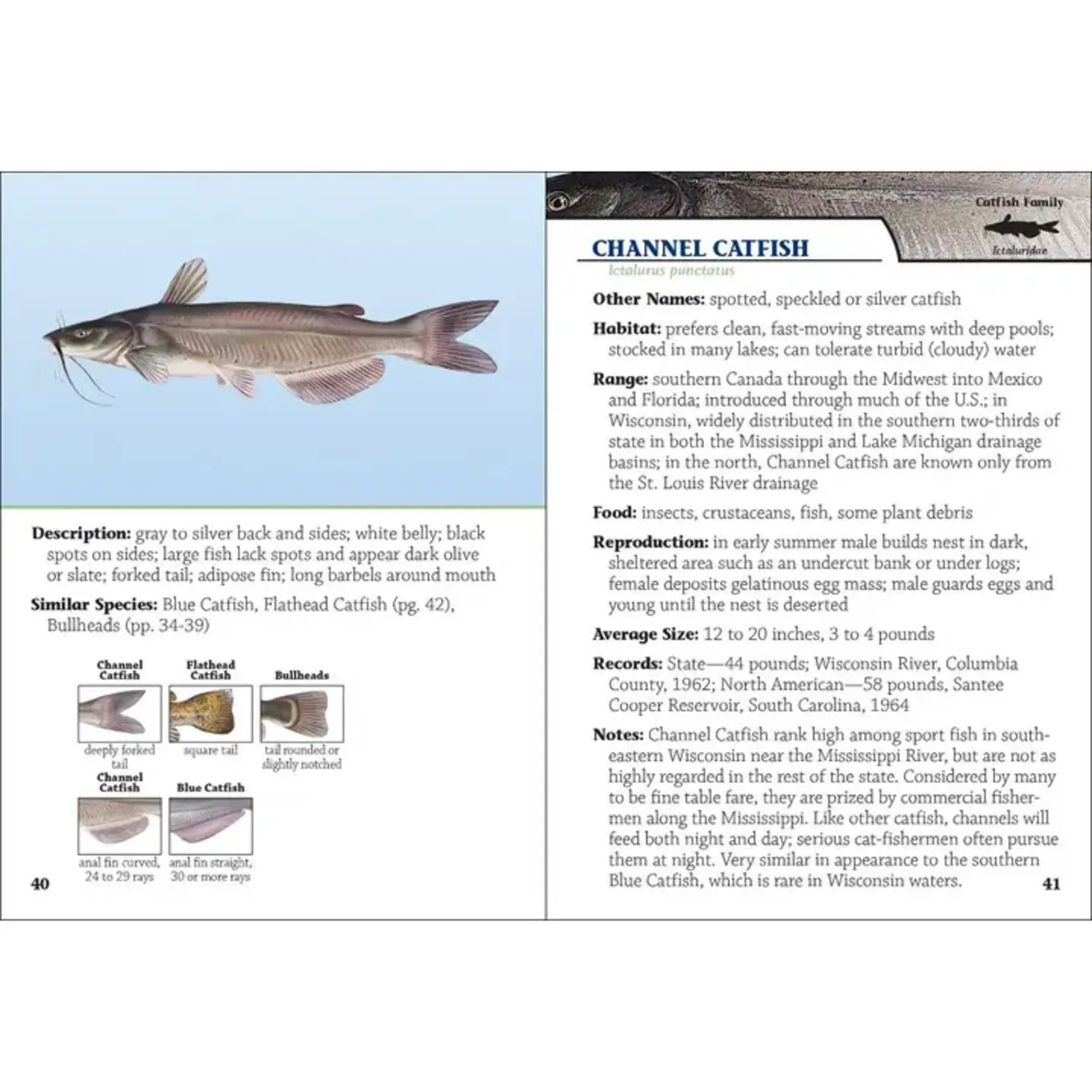 AdventureKEEN Fish of Wisconsin Field Guide