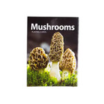 AdventureKEEN Mushroom  Playing Cards