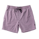 Roark Shorey Shorts