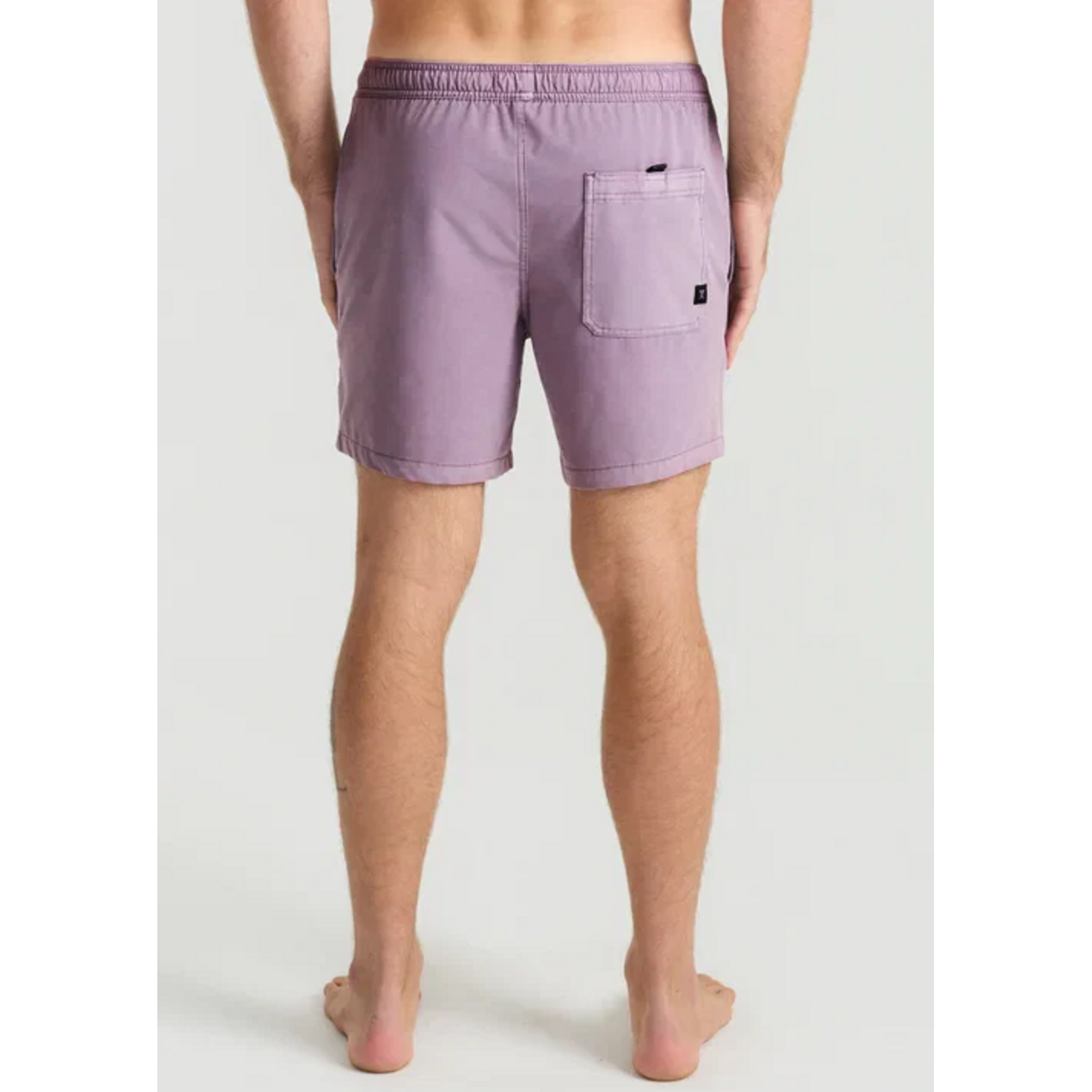 Roark Shorey Shorts