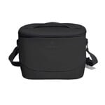Carryout Lunch Bag