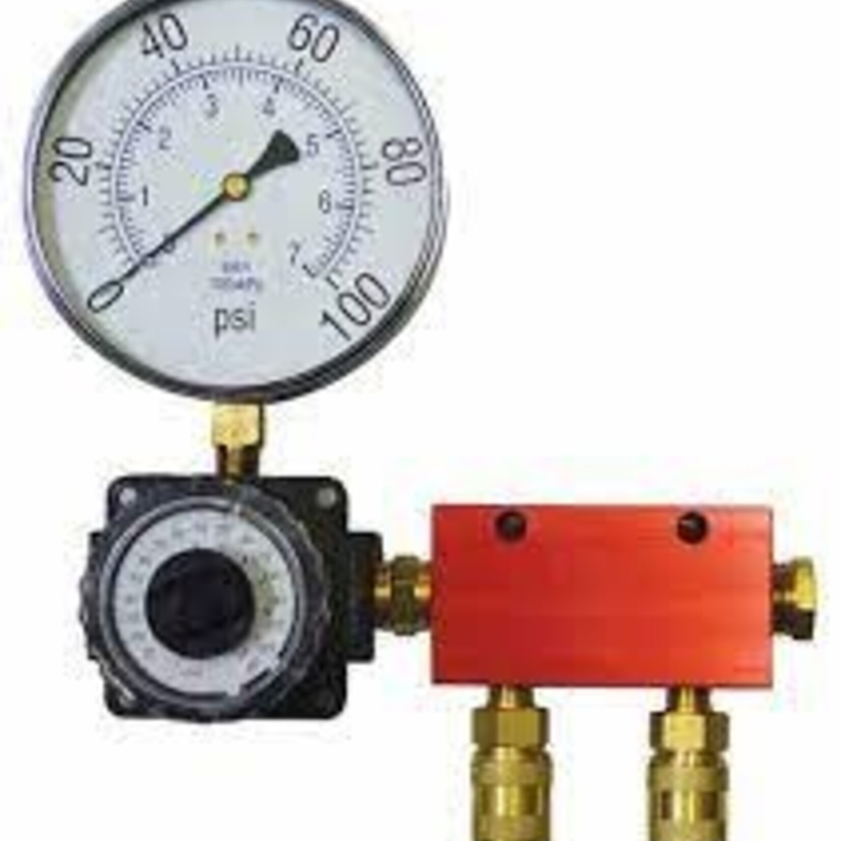 RTI RTI Precision regulator with large gauge and multiport mainfold