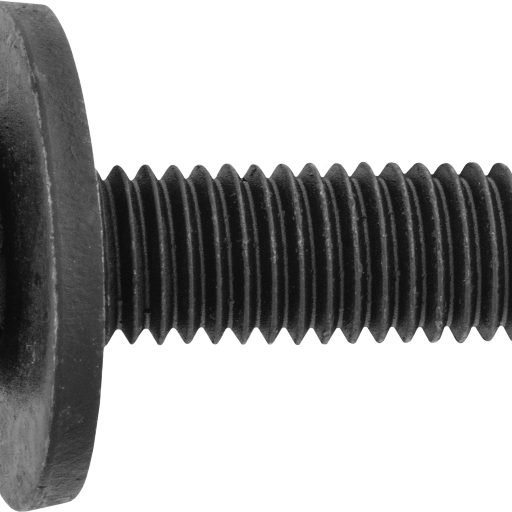 Pelco 0.420601 PELCO BODY BOLT 10MM X 40MM 15 Qty Per Pack G / 3
