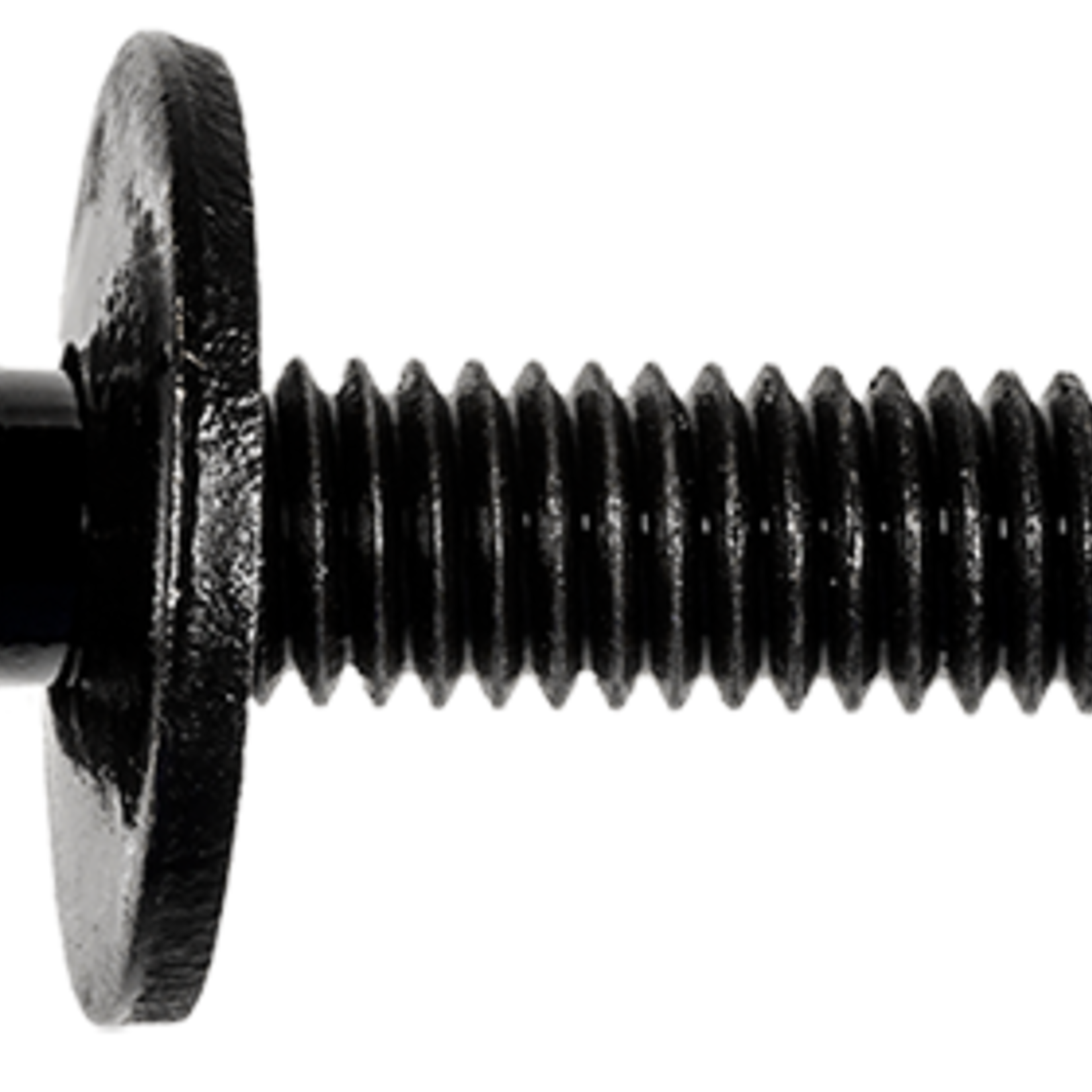 Pelco 0.420311 PELCO BODY BOLT LUSTRÃ‰ 6MM X 25MM 25 Qty Per Pack G / 3