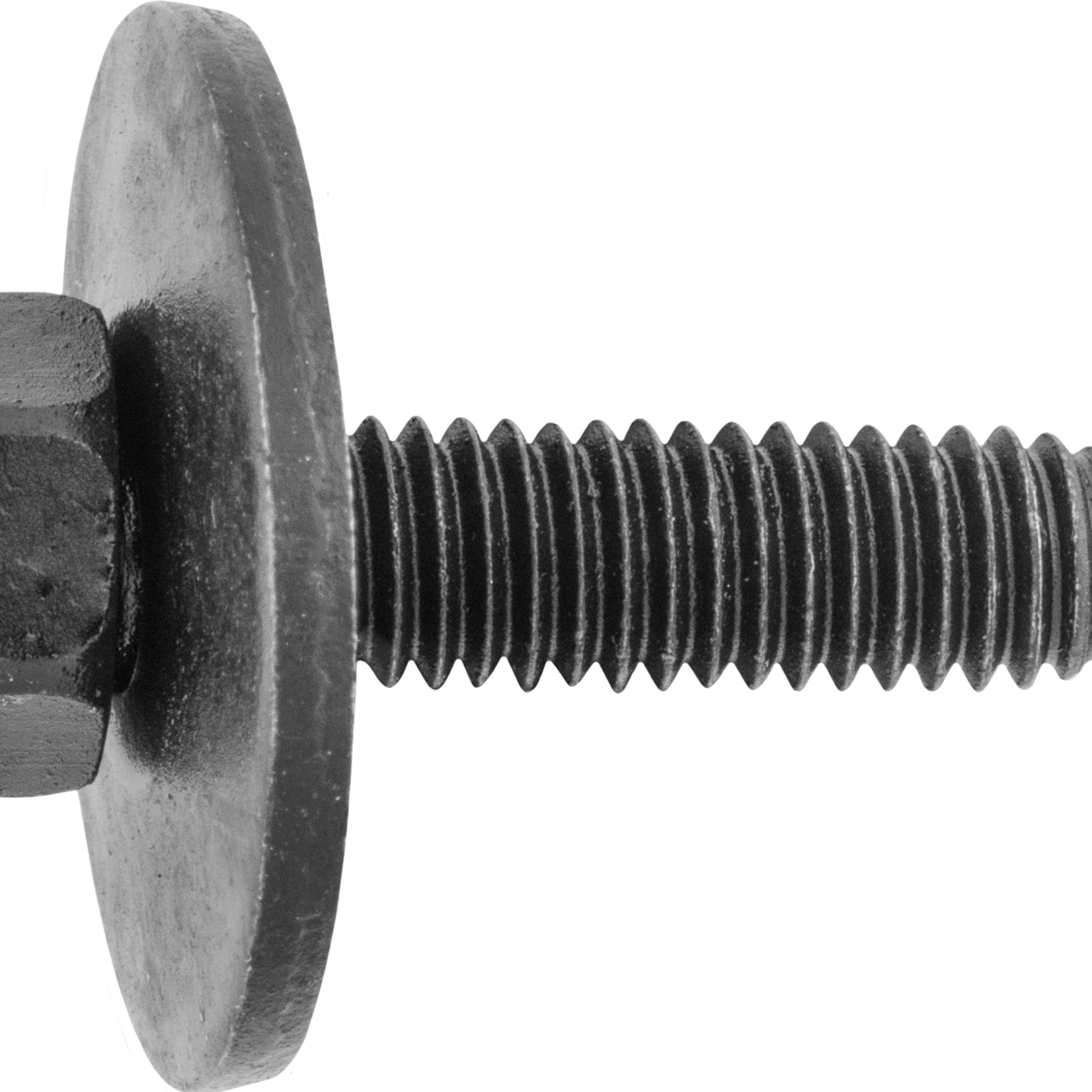 Pelco 0.420321 PELCO BODY BOLT LUSTRÃ‰ 6 X 25MM 24MM WASHER 25 Qty Per Pack G / 3