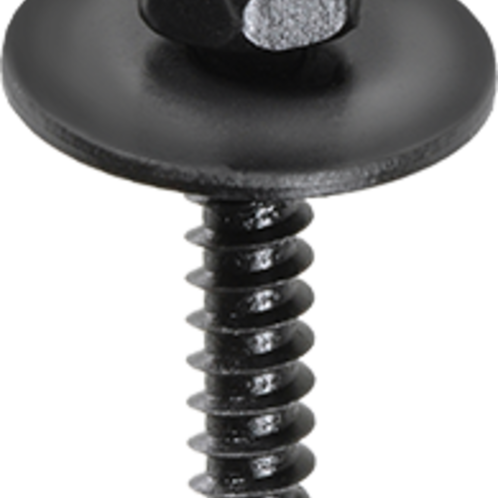 Pelco 0.090131 PELCO VIS HEX. LOOSE W. NOIR 4.2X20 50 Qty Per Pack G / 1