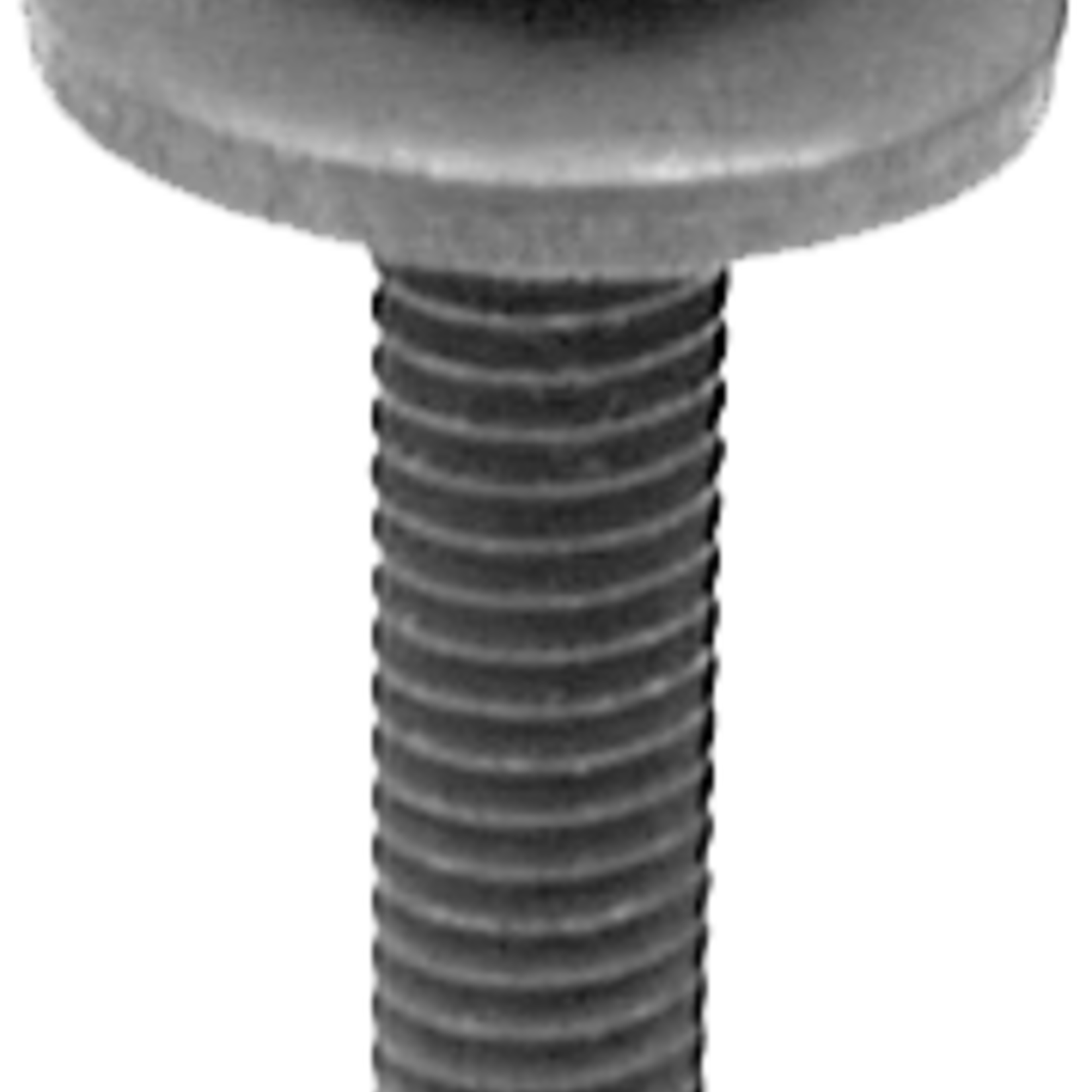Pelco 0.420361 PELCO BODY BOLT LUSTRÃ‰ 6 X 35MM WASH. 17MM 25 Qty Per Pack G / 3