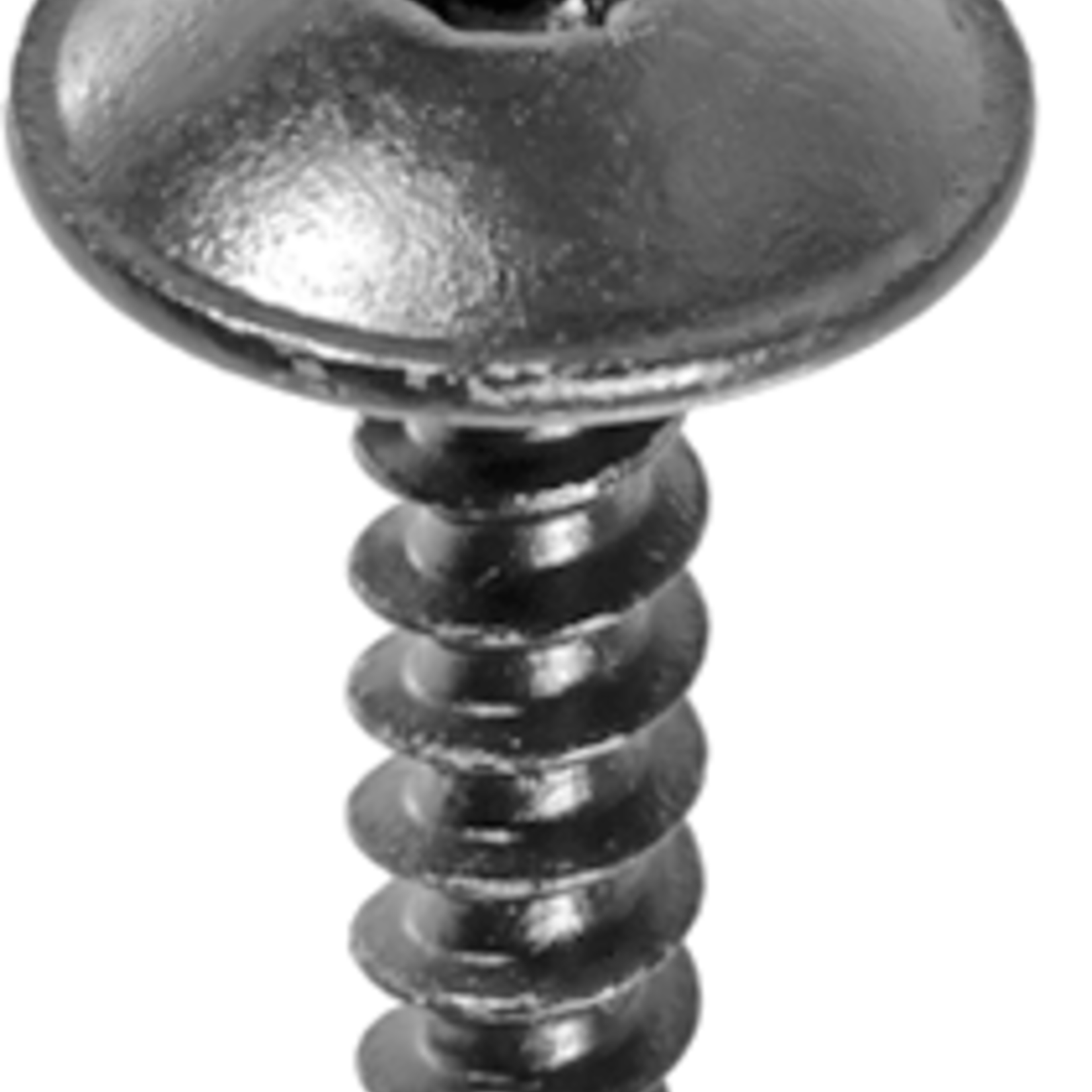 Pelco 0.091031 PELCO TORK TRUSS HD.SMS M5.5 X 20MM BLACK 25 Qty Per Pack G / 1