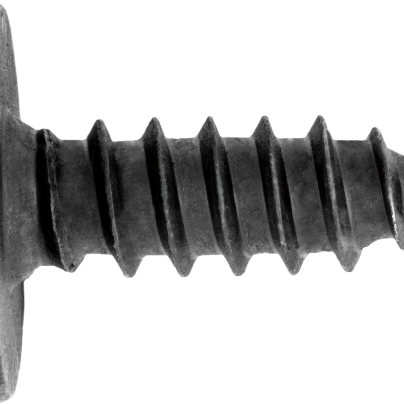 Pelco 0.090321 PELCO PH.WAS.HD. 5.5 X 16MM WAS.13MM BLK 25 Qty Per Pack G / 1