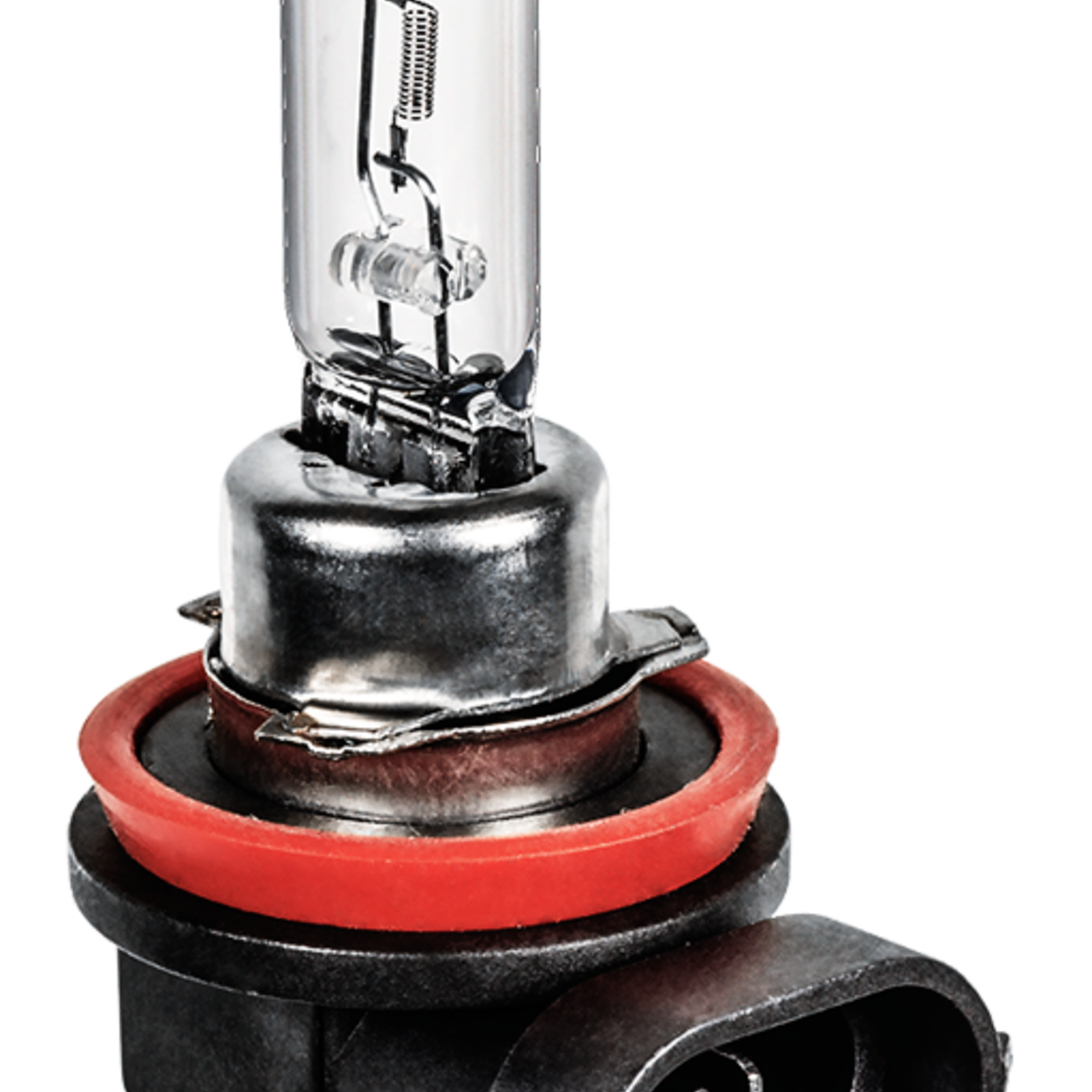 Pelco 503.H11C.1 PELCO BULB HALOGENE H11 (38753,2110) 1 Qty Per Pack G / 9