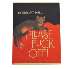 Offensive & Delightful Birthday Cat Says Card