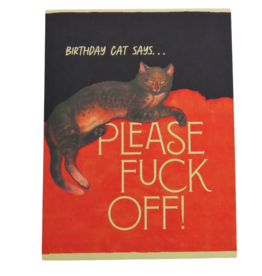Offensive & Delightful Birthday Cat Says Card