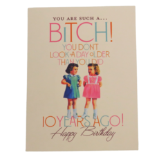 Offensive & Delightful KD17 10 years You Are Such A Bitch Birthday Card