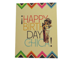 CHIX CHICKS BIRTHDAY EVE CD GARNiDELiA CD