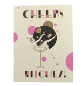 Offensive & Delightful Cheers Bitches Champagne Lady Card