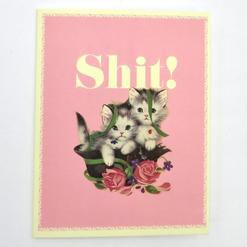 Offensive & Delightful NW15 Shit Kittens Card