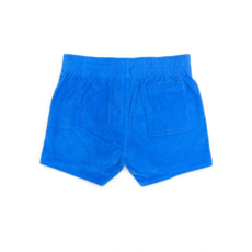 Hammies Men's 3" Stretch Corduroy Solid Blue Short
