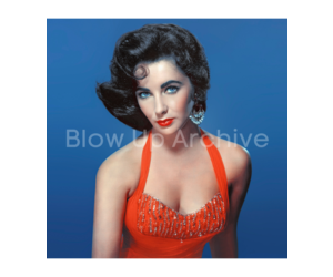 blowuparchive-elizabeth-taylor