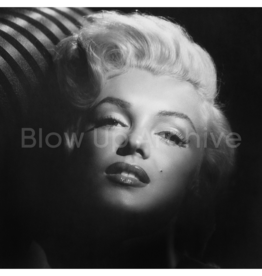 BlowUpArchive Marilyn Monroe Noir 1953
