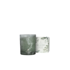 Thymes Highland Frost 6.5 Oz Boxed Candle