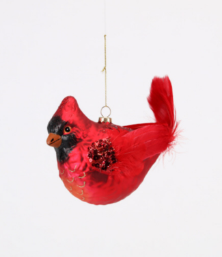 180 Degrees 9" Cardinal Ornament