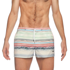 Parke & Ronen Lago Etruscan Barcelona Printed Swim Short