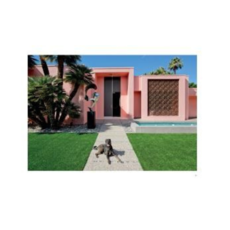 Schiffer Publishing Palm Springs: Modern Dogs At Home