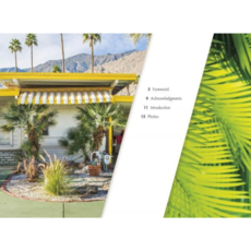 Schiffer Publishing Small Dreams: 50 Palm Springs Trailer Homes