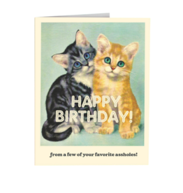 Offensive & Delightful BD07 Asshole Cats Card