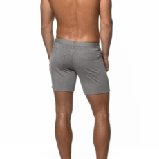 ST33LE (Steele) CORE ST 1932 Dove Grey 5in Shorts