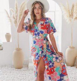 Sheer Trend Blue/Red Floral Maxi Dress