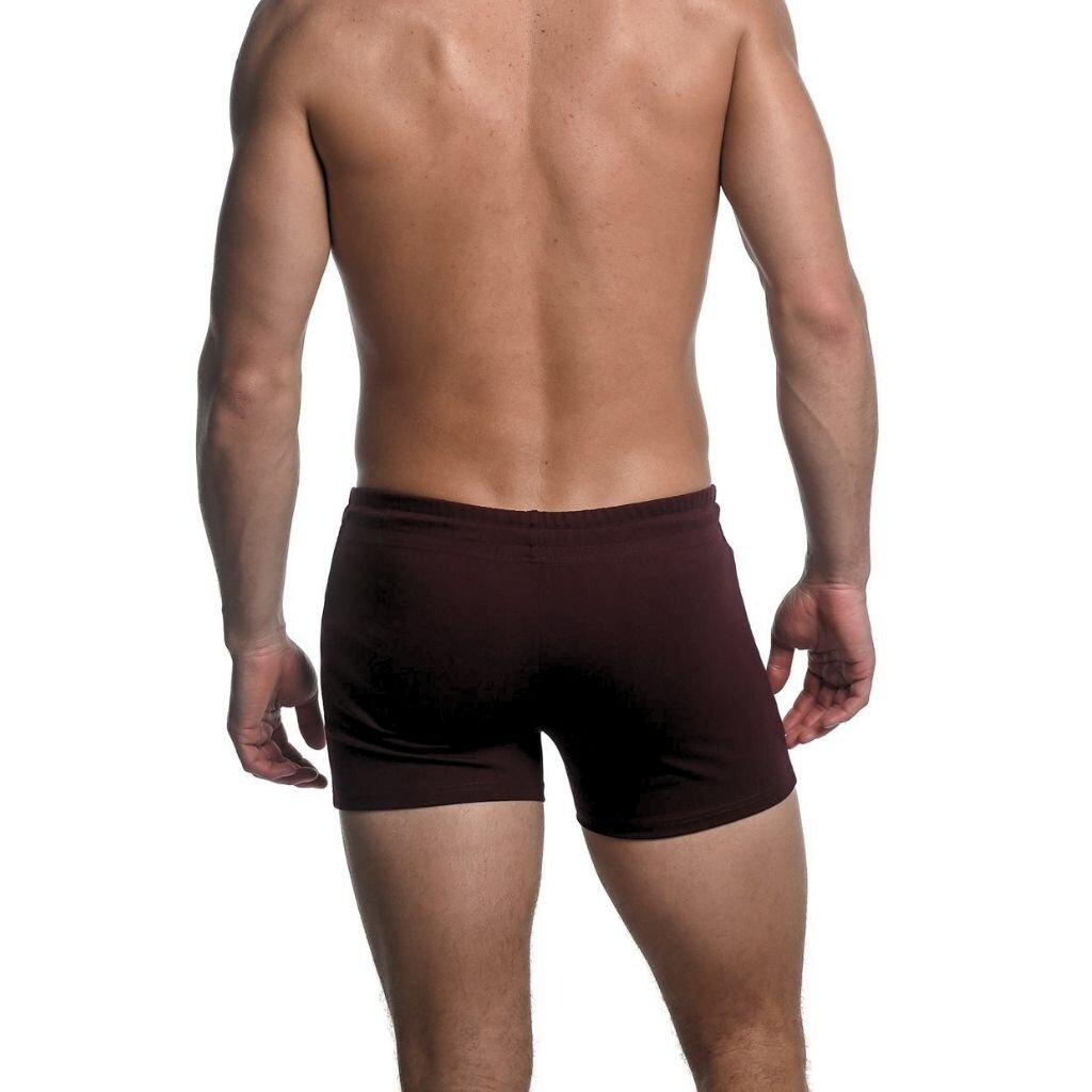 ST33LE (Steele) Vault Gym Tech 3.5 Inseam Stretch Shorts St-10500