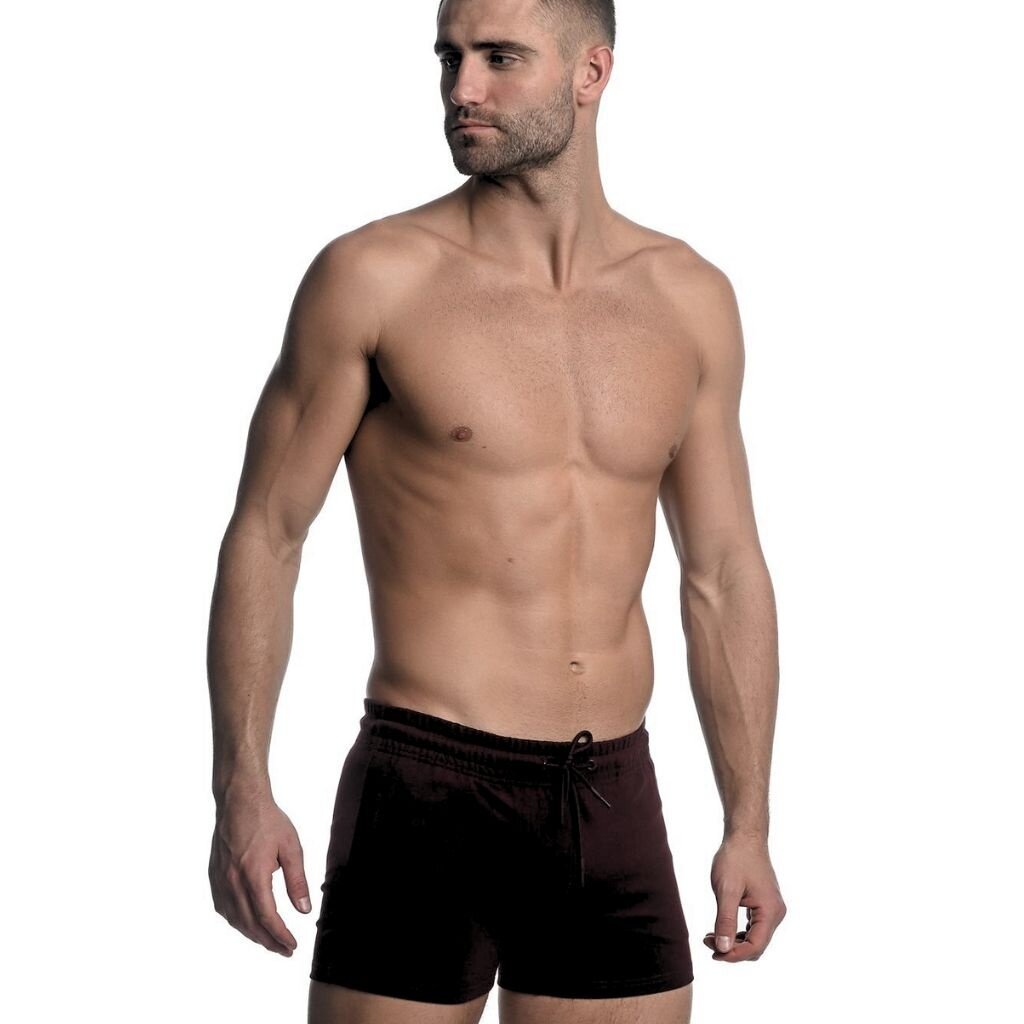 ST33LE (Steele) Vault Gym Tech 3.5 Inseam Stretch Shorts St-10500