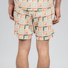 D.RT Geo Resort Short