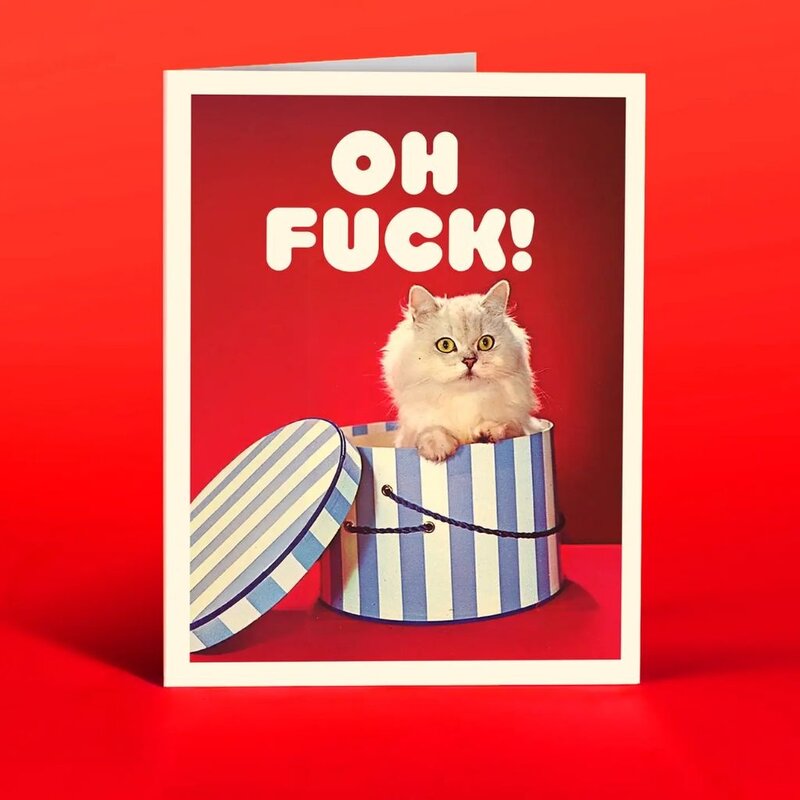 Offensive & Delightful Cat in A Box Card