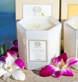 Antica Farmacista LLC 9oz Lush Palm Candle