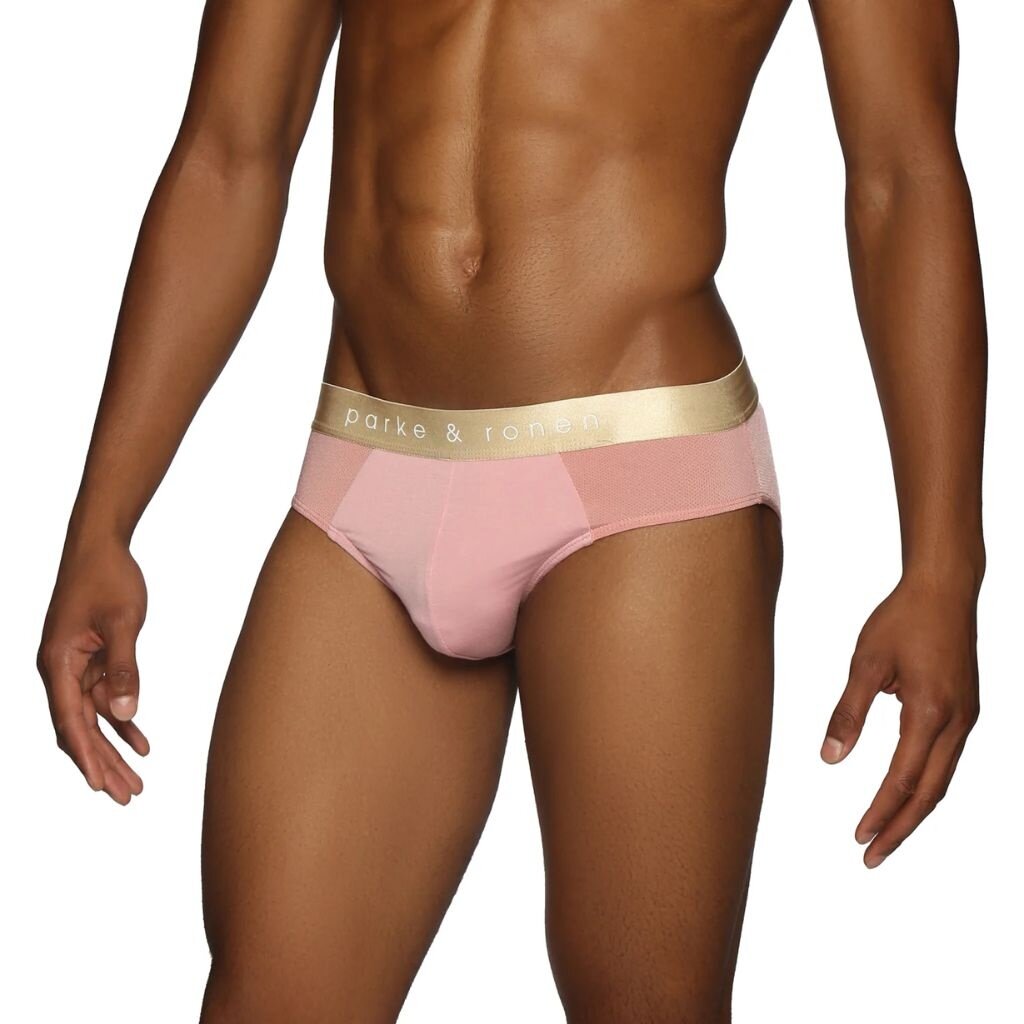 Parke & Ronen UWFL24  Mistral Mesh Low Rise Brief